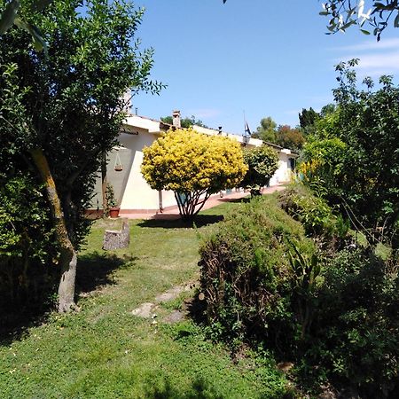 Agriturismo Le Colline Di קפאלביו מראה חיצוני תמונה