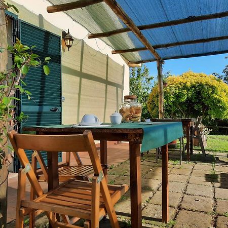 Agriturismo Le Colline Di קפאלביו מראה חיצוני תמונה