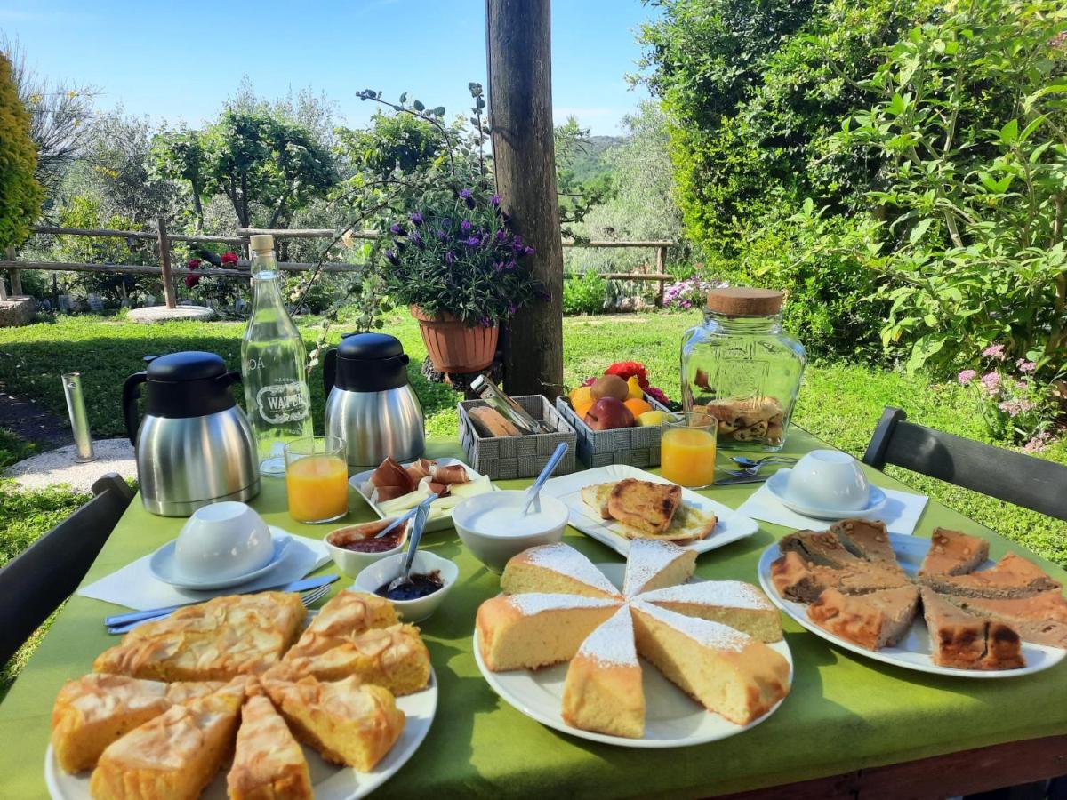 Agriturismo Le Colline Di קפאלביו מראה חיצוני תמונה