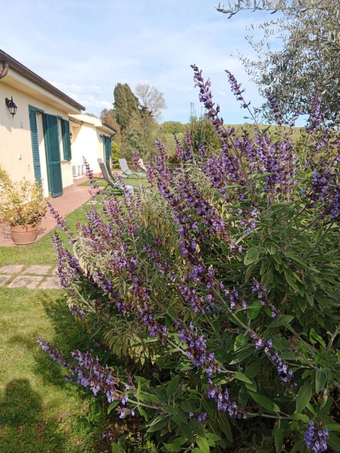 Agriturismo Le Colline Di קפאלביו מראה חיצוני תמונה