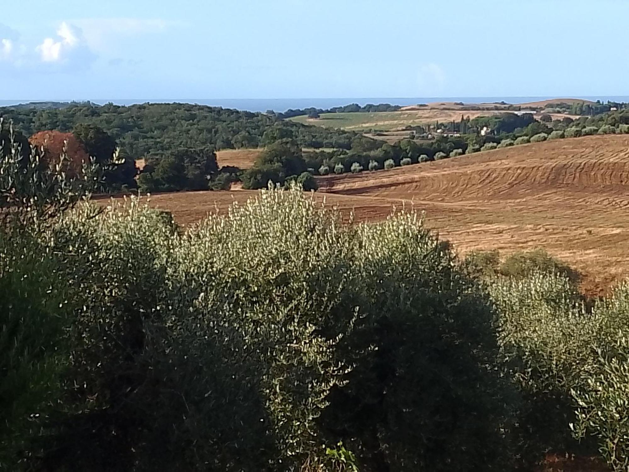 Agriturismo Le Colline Di קפאלביו מראה חיצוני תמונה