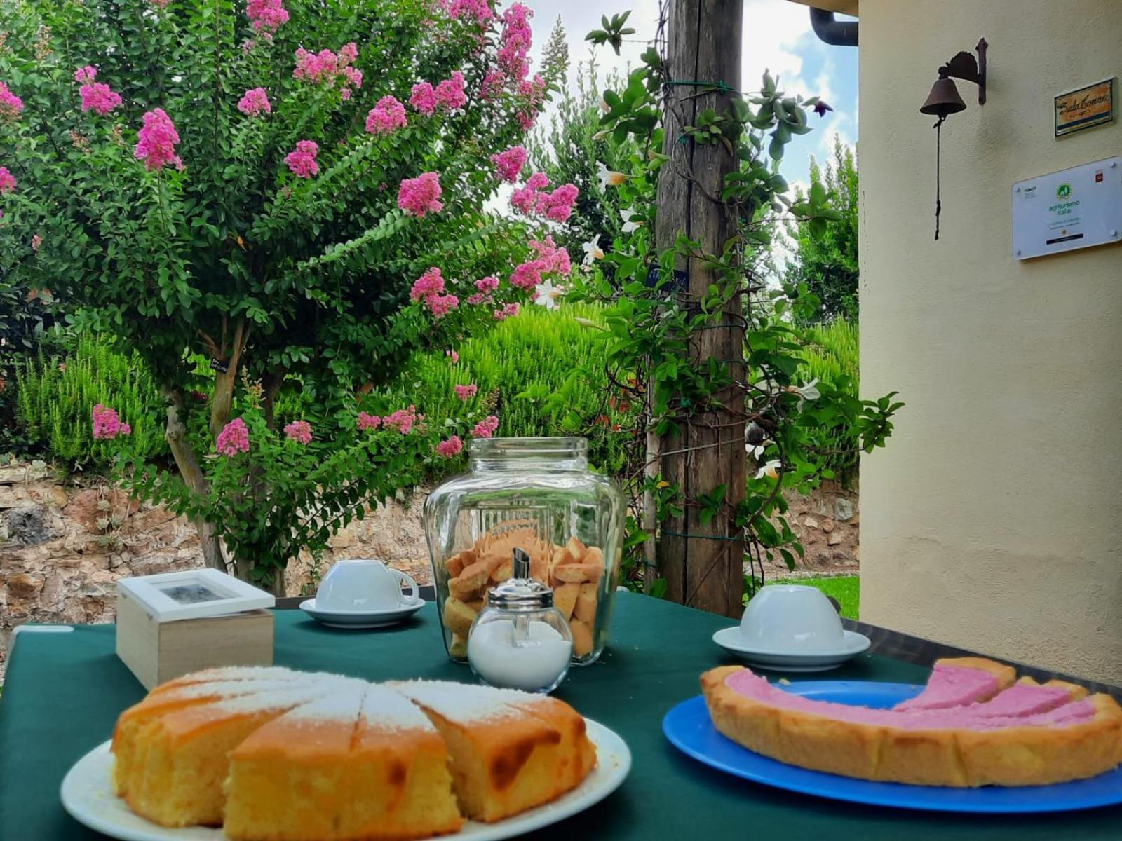 Agriturismo Le Colline Di קפאלביו מראה חיצוני תמונה