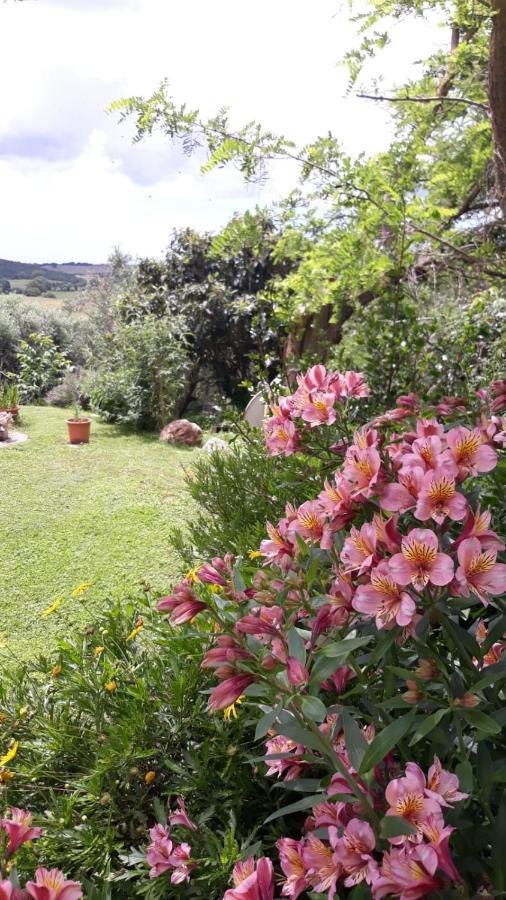 Agriturismo Le Colline Di קפאלביו מראה חיצוני תמונה