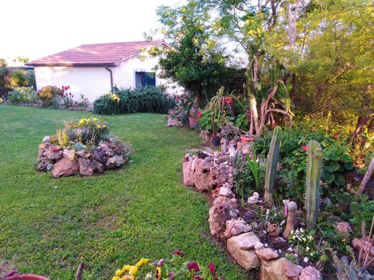 Agriturismo Le Colline Di קפאלביו מראה חיצוני תמונה